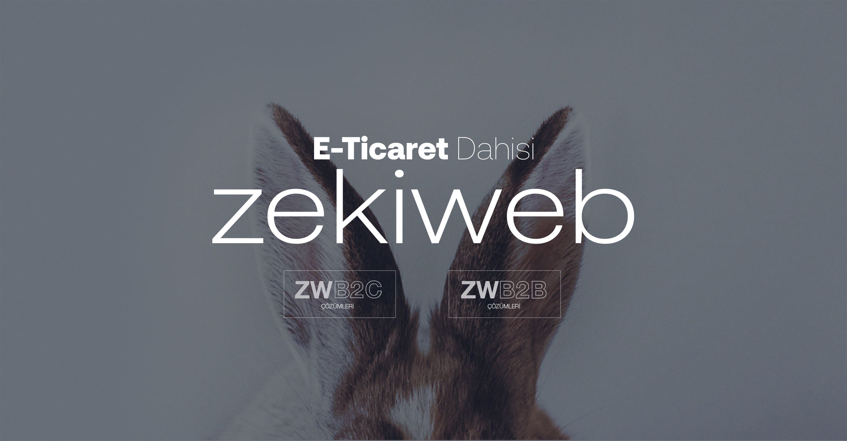 Zekiweb