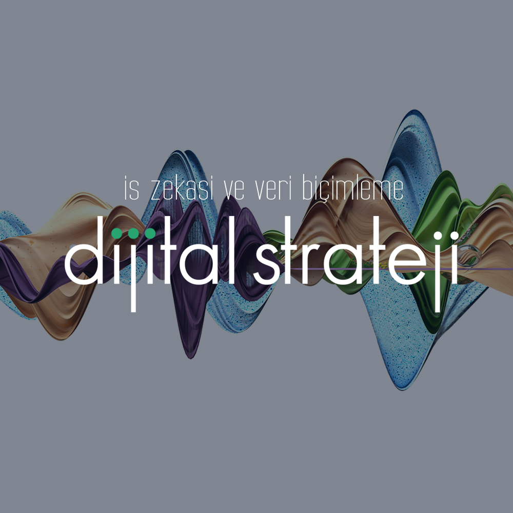Dijital Strateji