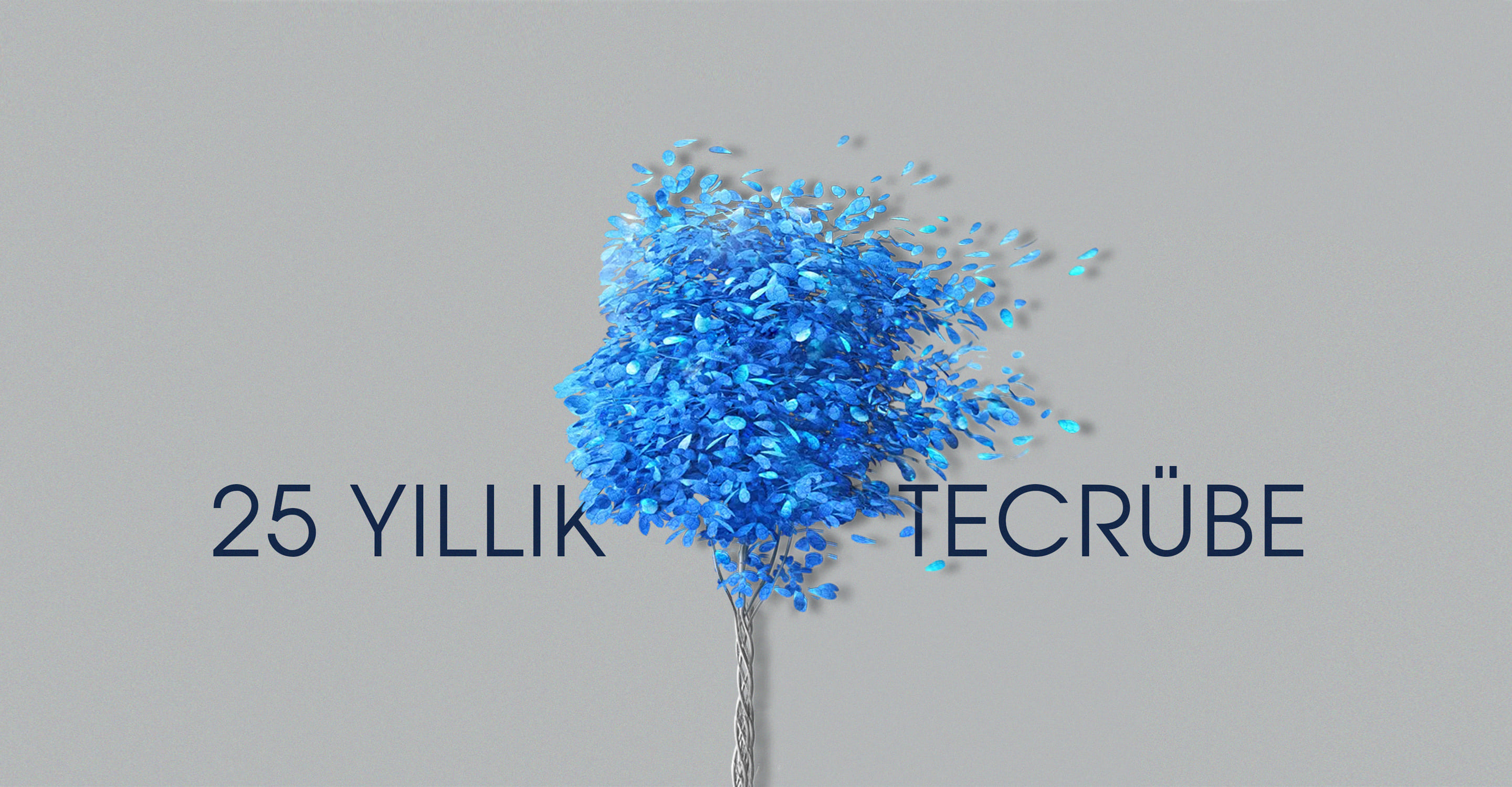 25 Yıllık Tecrübe